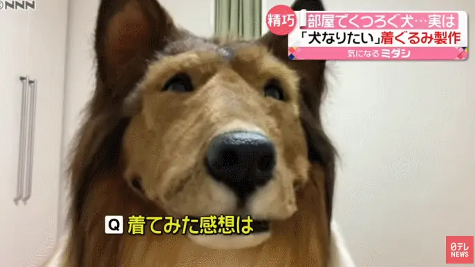 离奇！日本30多岁男子不想做人，花200万变身成“狗”？！竟然还上了电视…