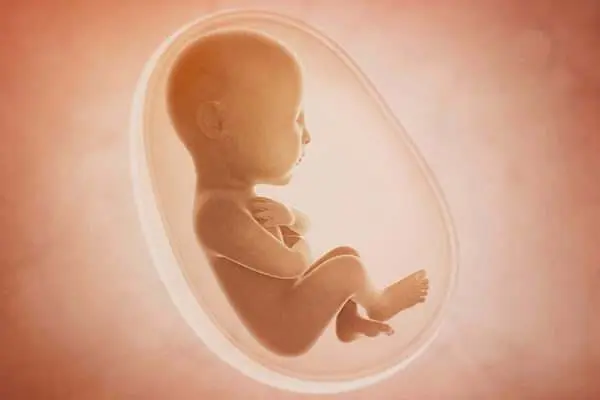 无胎心是不是小蝌蚪质地差导致的？