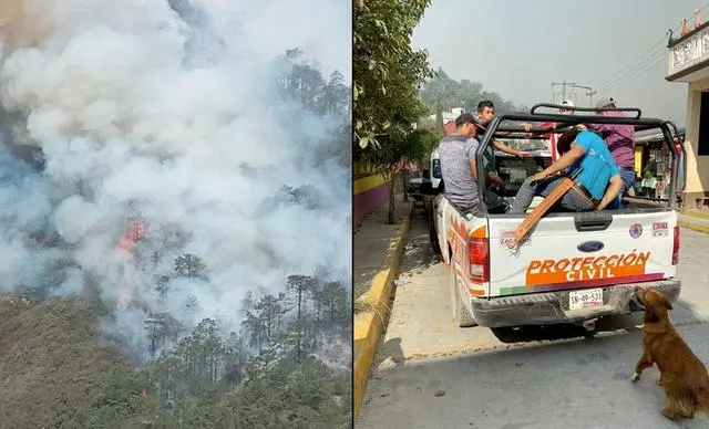 墨西哥中部发生丛林失火 至少1东说念主耗费