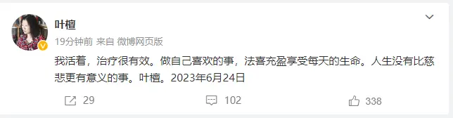 叶檀辟谣死亡神话！曾自述罹患乳腺癌9个月的“至暗时候”