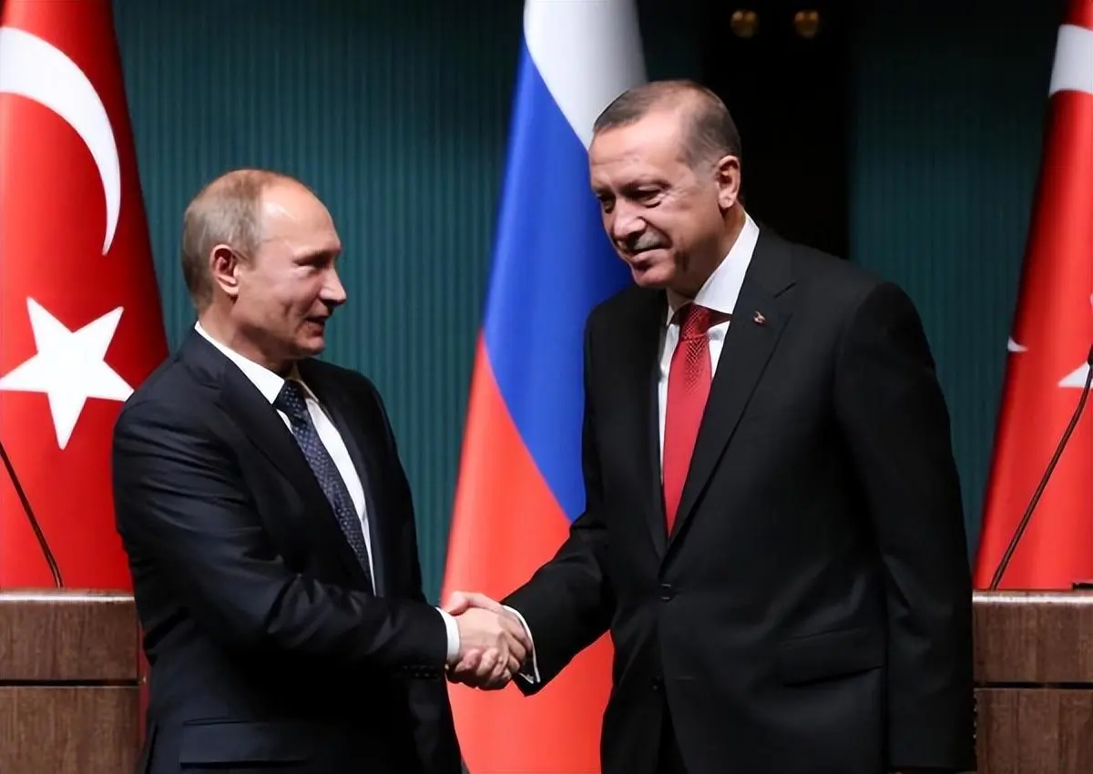 土耳其最近狂得很，埃尔多安经常驳普京好看，就是为了缺点俄罗斯？