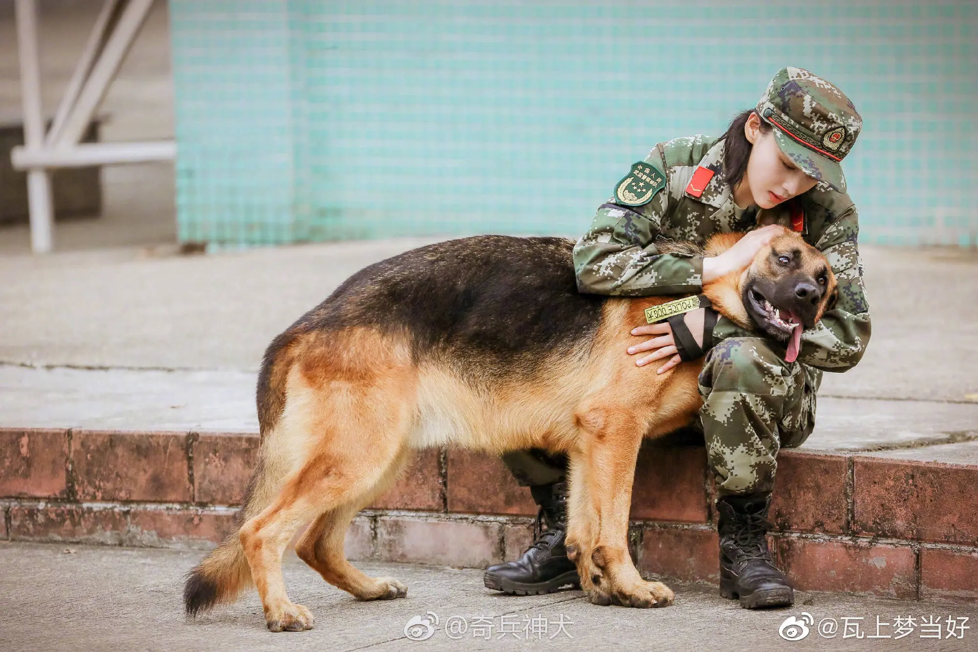 还谨记张馨予吗？成为军嫂之后的她在作念什么？