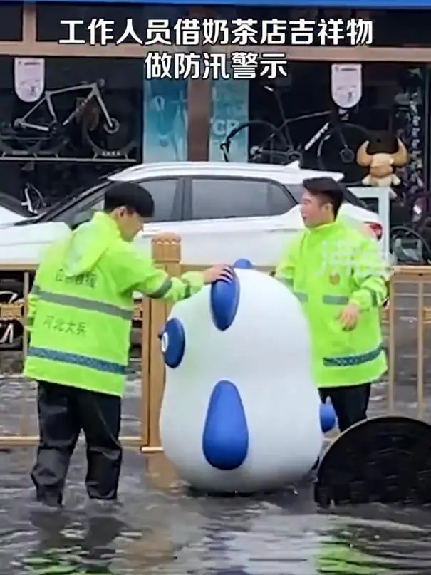 河北保定一奶茶店吉祥物被借走当道路积水警示物，网友：丁丁猫也为保护家乡出了一份力