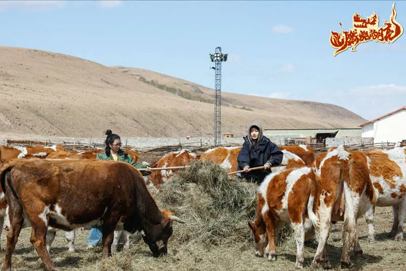 《拔除的月亮》首播，过分寡淡，女版“种地吧”扑街方位昭彰