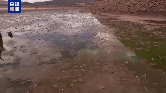 墨西哥北部旱情严重 当地东谈主生存遭重创