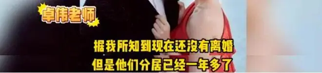 卓伟曝陈晓婚变原因炸裂，孩子遭坏心估量，网友痛批男方没包袱感