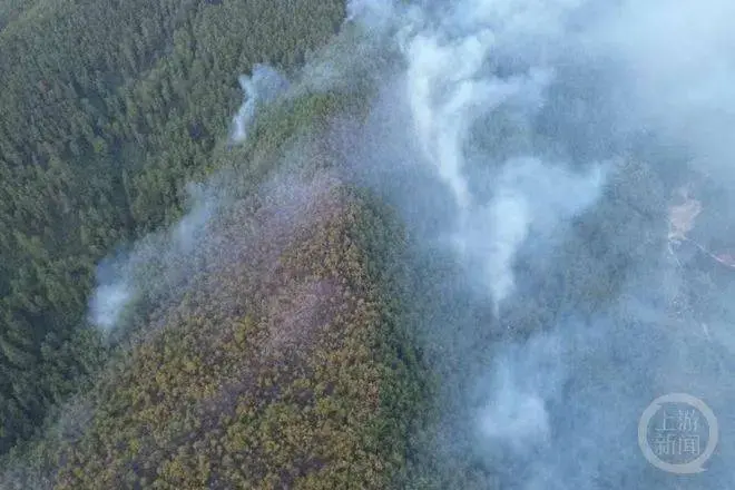 重庆丛林失火最新发扬 多个区县发布禁火令、封山令