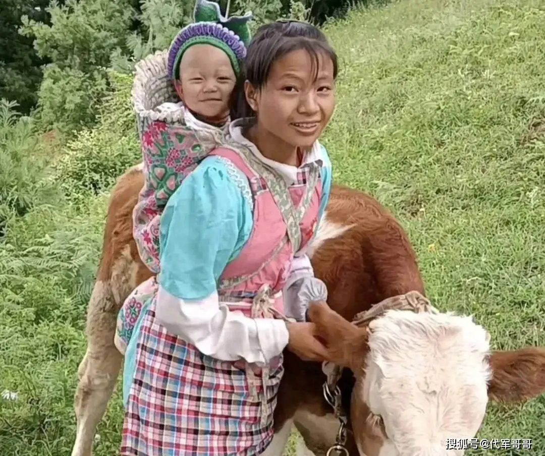 网红小英塌房了：什么齐是假的，只消小英家的牛受的苦是简直