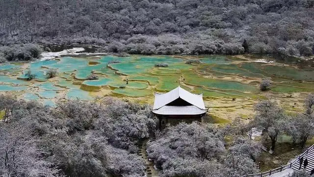坐动车去九寨黄龙赏绝好意思秋景！川青铁路加开4趟动车组列车