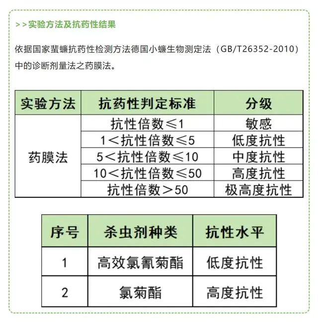 广东蟑螂已“进化”？疾控部门复兴