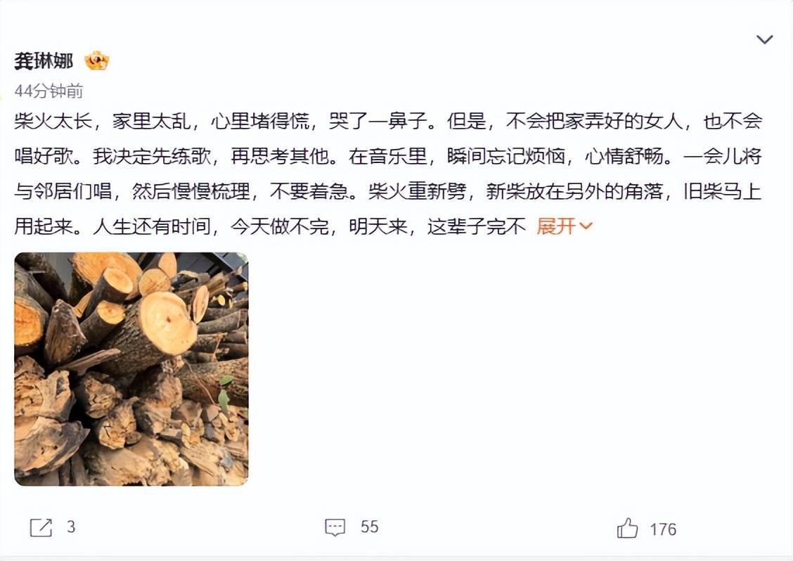 龚琳娜与德国老公区别，她独自回家哭了，称家里太乱心里堵得慌