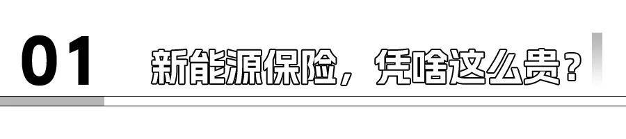 仅一城半年就有35亿，新动力的钱齐被保障公司赚走了？