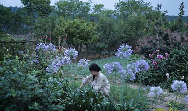 李子柒三连更视频有何深意？绒花谐音蕃昌，用非遗击败非议