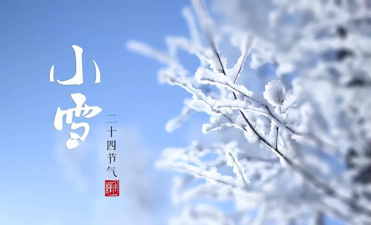 明日小雪，不管有钱没钱，牢记多吃“小雪4宝”，健康舒服过寒冬