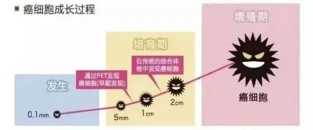 抗癌、抗衰、抗病毒——健康不可缺少的NK免疫细胞！