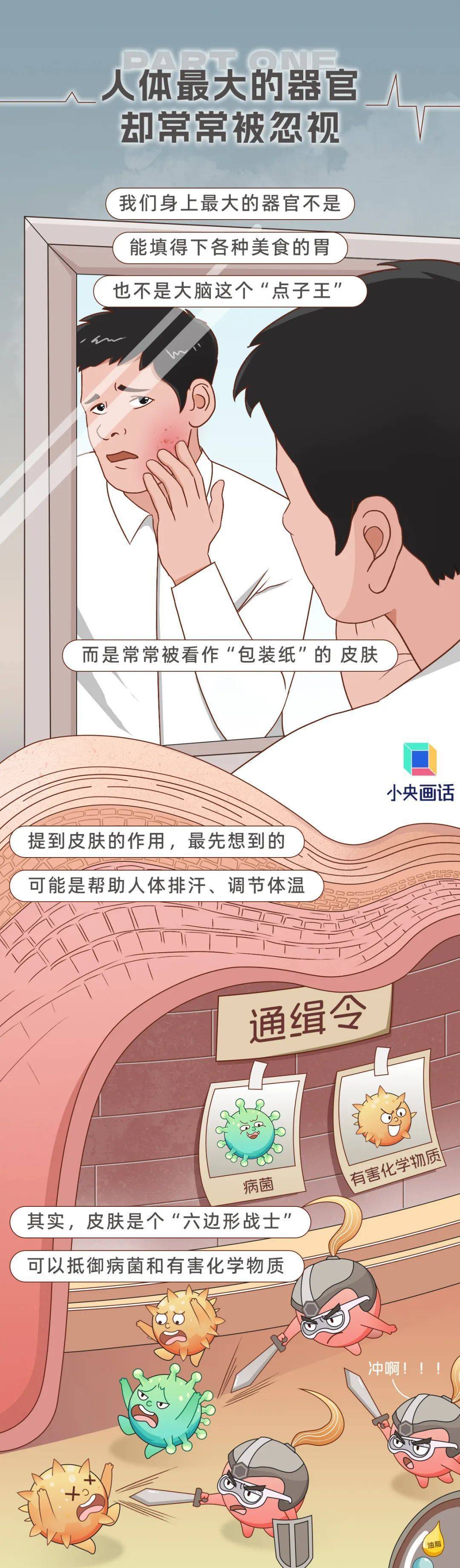 人体最大的器官却常常被忽视？