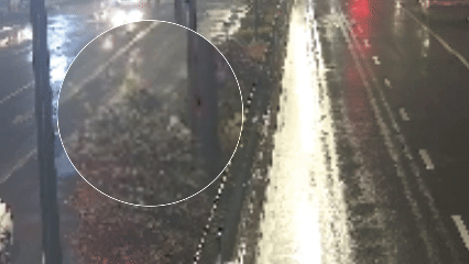 放工途中遇95岁迷途老东谈主，<a href="http://www.fc2luoli.com" target="_blank">fc2 萝莉</a>小伙暖心看守……