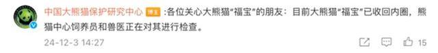 大熊猫“福宝”发抖，官方最新回答：已收回内圈全面搜检，网友：但愿一切安好！