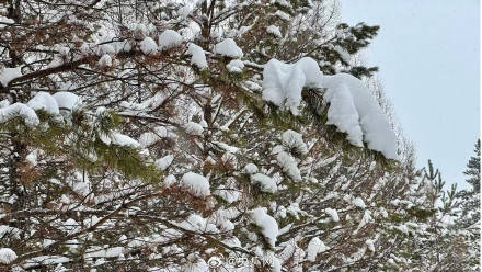 雪后黑龙江氛围感拉满了