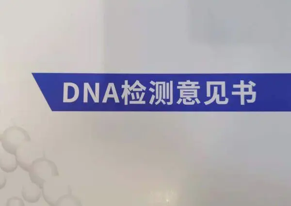 DNA亲子鉴定师：有人看完报告回家把妻子腿打断，自己喝农药