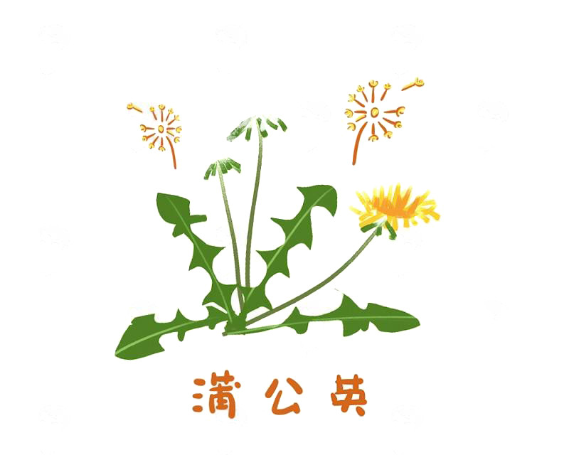 不吃如同错过整个春天？这4种野菜虽好，但爸妈可别从这些地方挖