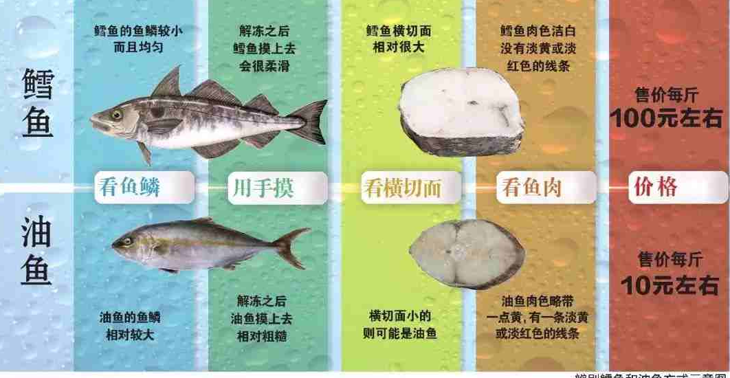 油鱼有多可怕？人吃后批股会漏油3天，遭多国禁止后仍有人食用？