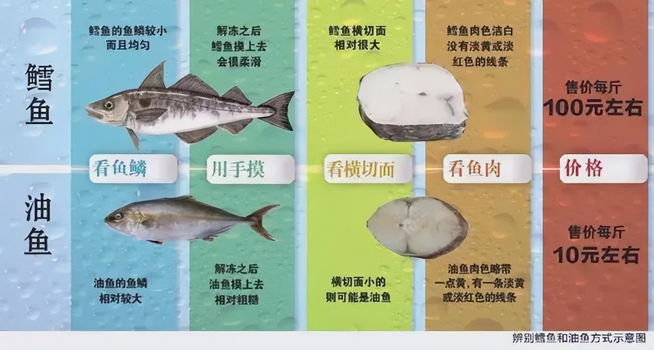 油鱼有多可怕？人吃后批股会漏油3天，遭多国禁止后仍有人食用？