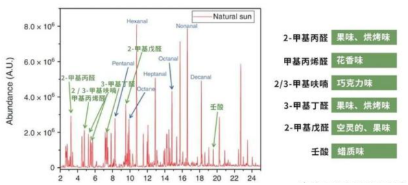 晒被子后有“太阳味”，是因为螨虫被烤焦了？科学家：太阳的功劳