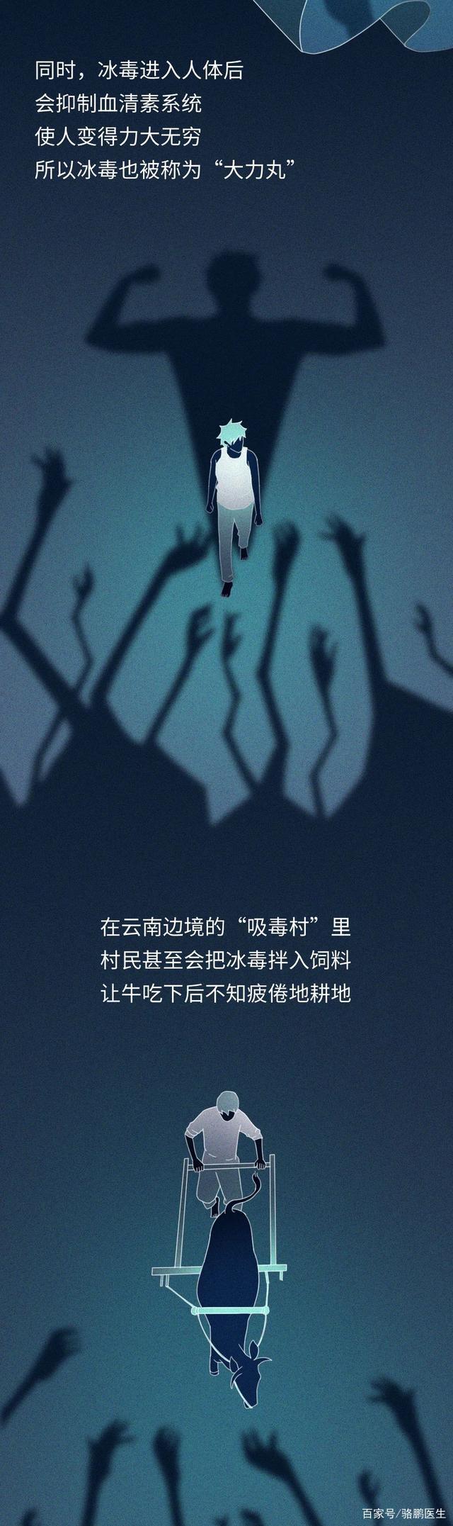 漫画揭晓：吸进去的毒品，是怎样摧毁人体的？看完请远离