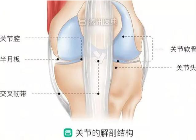 长期掰手指和从不掰的人，谁的关节更健康？答案令人意外