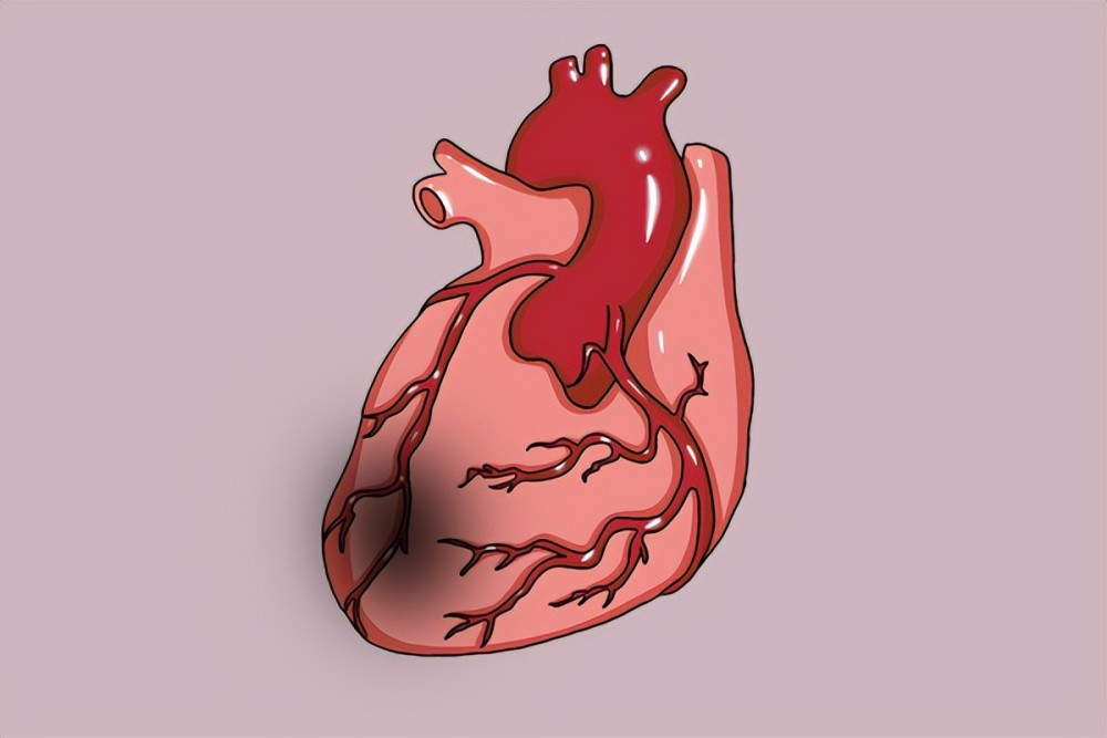 心梗来临，喉咙知道？心脏出现7个异常表现，提醒你该检查了
