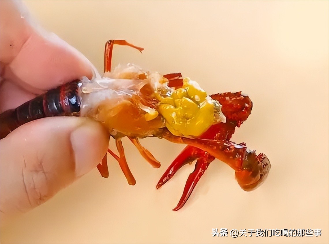 吃小龙虾，虾头里的黄SE，是虾黄还是虾屎？吃了多年，终于明白了