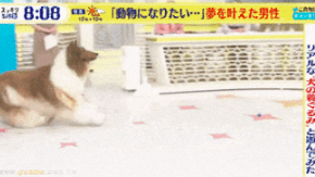 290x163_343ed67c.png_.webp
