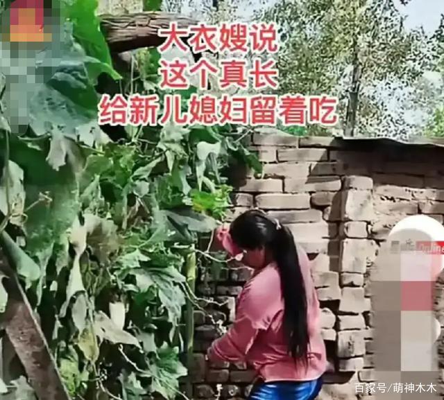 朱小伟跟未婚妻感请甜蜜，夜不归宿遭调侃，陈亚男新号却屡被投诉