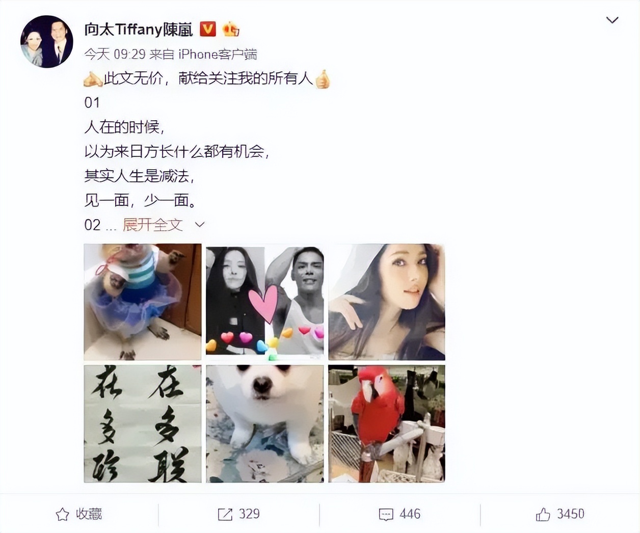 向太承认郭碧婷怀二胎！自曝是男孙下个月生产，笑得合不拢嘴