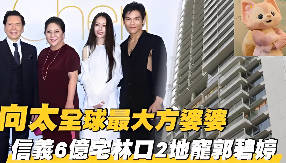 向太承认郭碧婷怀二胎！自曝是男孙下个月生产，笑得合不拢嘴