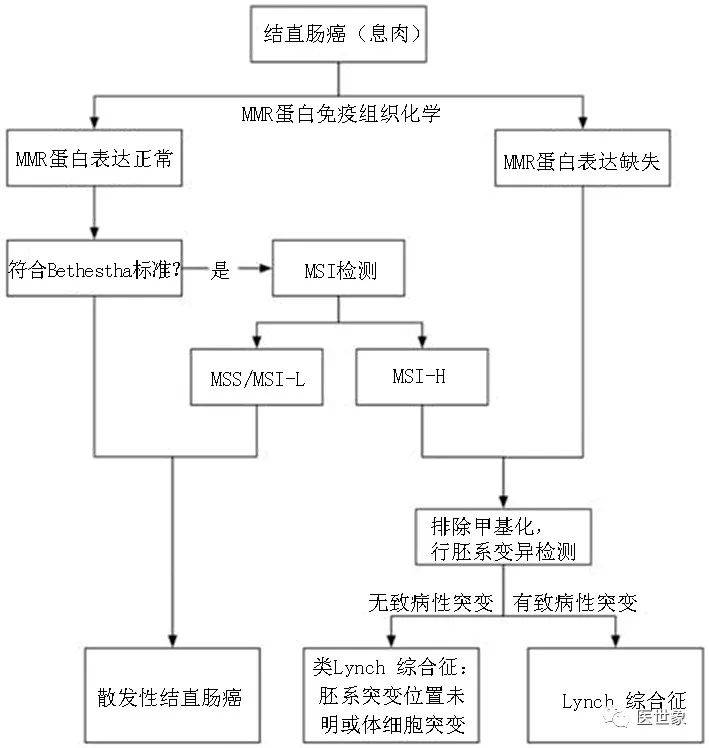 家族遗传新肿瘤：结直肠癌篇