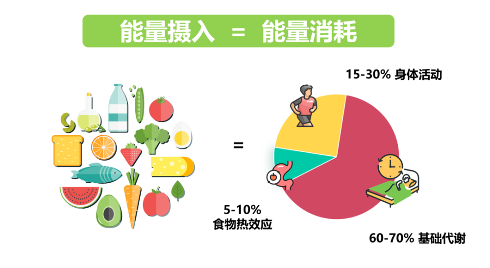 刘宏女孩男孩们，千万别节食，会吃才能减肥啊！