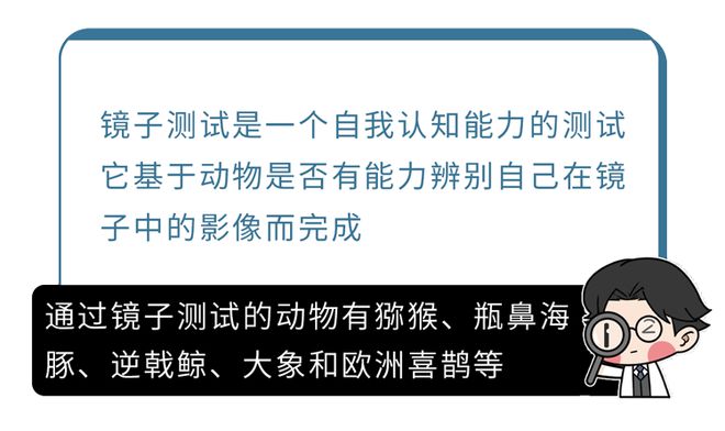 大脑为何要删除3岁前的记忆？小时候到底看到了啥？研究发现答案