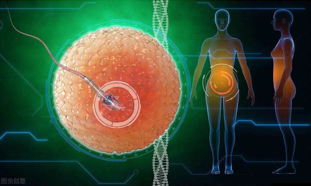 科学家拍到：经子和卵子结合的那一刻，真的会瞬间爆发出巨大闪光