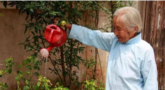 103岁老人，血管年龄60多岁，长寿秘诀不是多运动，或是这3件事