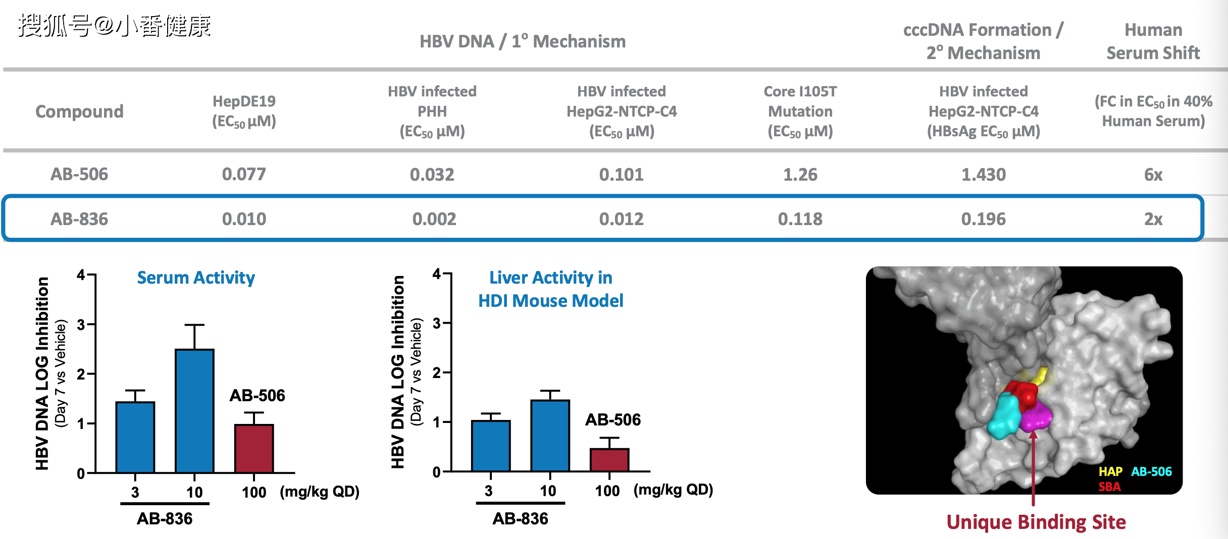 乙肝在研新要AB-836，1a/1b期已基本完成，下一代核心抑制剂