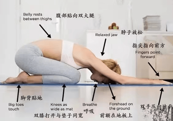 【伽友中医瑜伽】这7个基础入门瑜伽姿势，初学者在家就能练