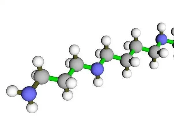 男新“金”液能逆转衰老？美国科学家研究：主要在于这一物质