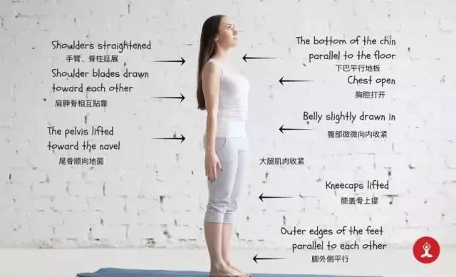 【伽友中医瑜伽】这7个基础入门瑜伽姿势，初学者在家就能练