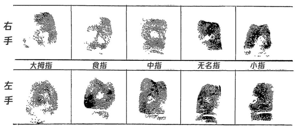 颠覆认知！人的指纹，竟暗藏着5个秘密……