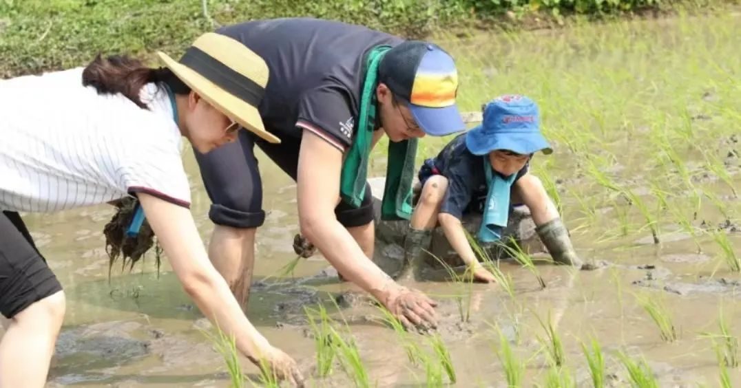 何超莲怒撕陈都灵，她和首富姐姐真是同爹不同命…