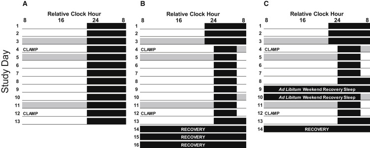 到底几点睡觉算熬夜？补觉能补回来吗？Nature＆Cell子刊为您解答