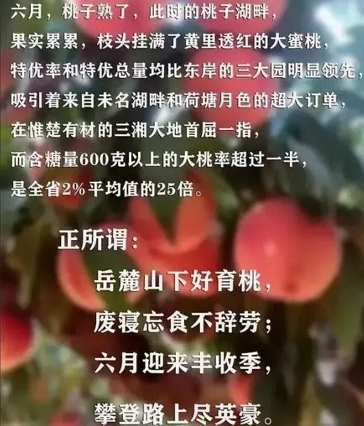 年入百萬！考北大比上北大更香，職業考生究竟羞辱了誰？