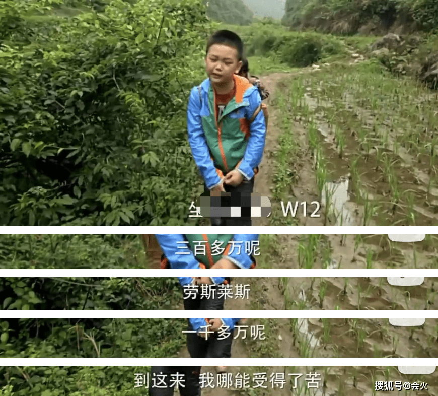 不是豪门媳妇吗，怎么又出来挣钱了？